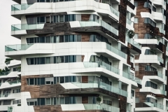 Shapoorji Pallonji Vicinia